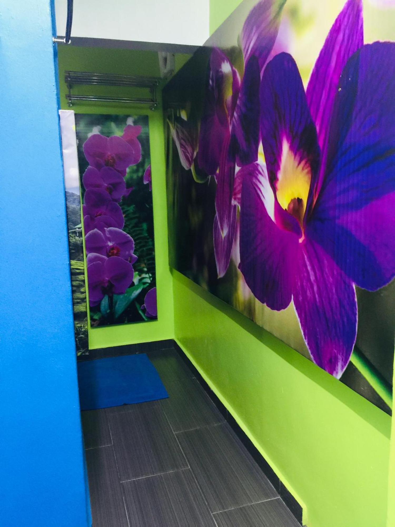 Lily Haven Hotel C-1 Tanah Rata Bagian luar foto