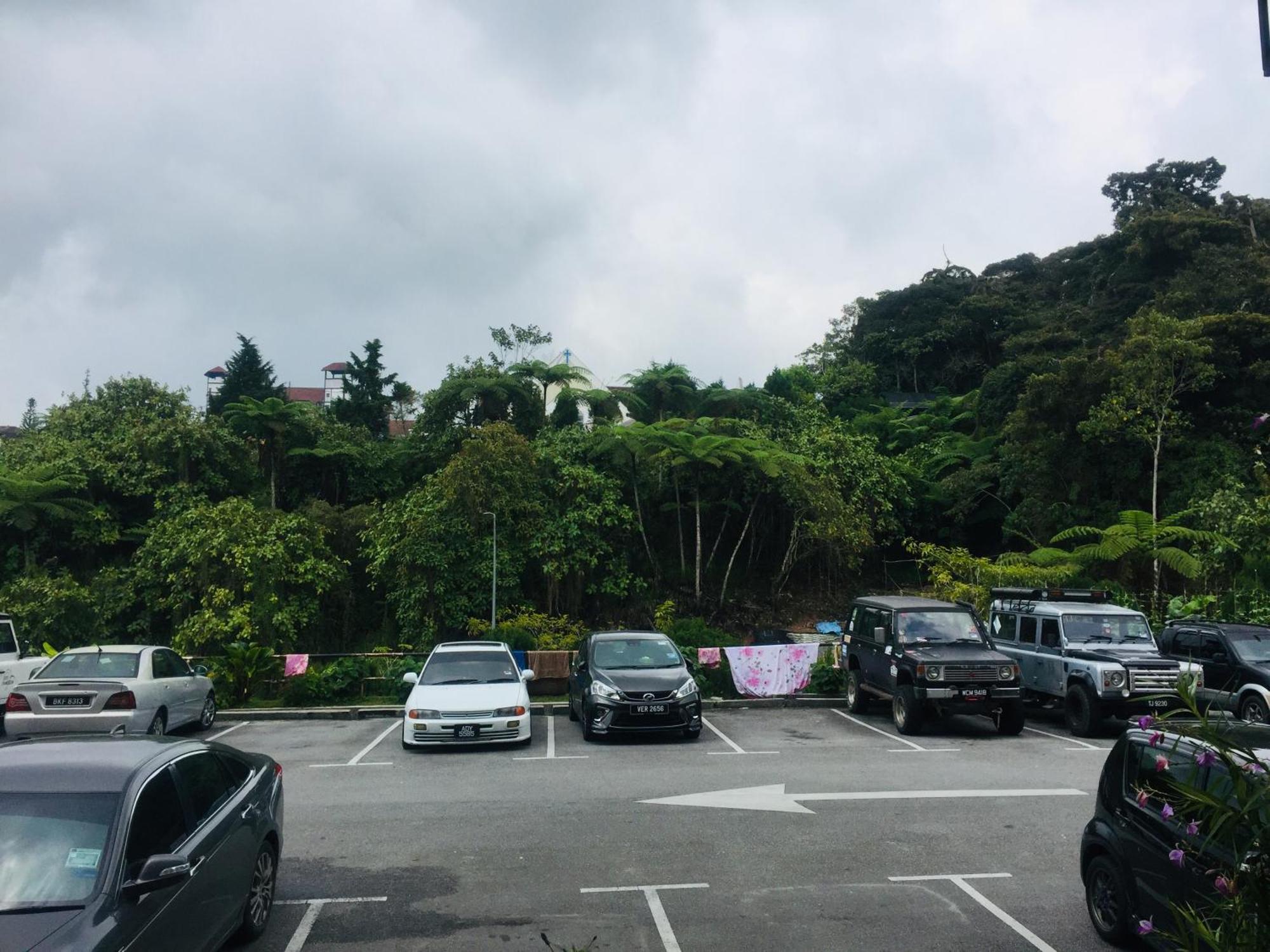 Lily Haven Hotel C-1 Tanah Rata Bagian luar foto